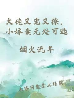 大佬又宠又撩，小娇妻无处可逃