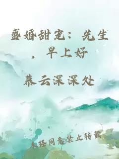 盛婚甜宠：先生，早上好