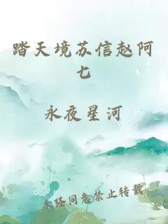 踏天境苏信赵阿七