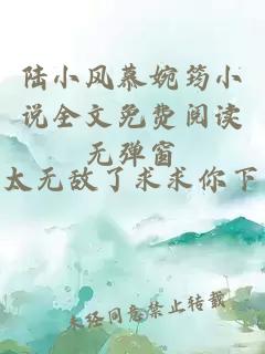 陆小风慕婉筠小说全文免费阅读无弹窗