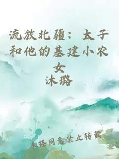 流放北疆：太子和他的基建小农女