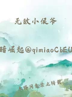无敌小侯爷