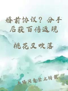 婚前协议？分手后获百倍返现