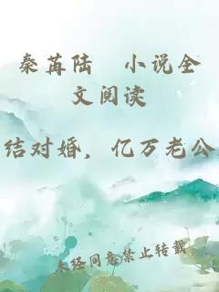 秦苒陆陞小说全文阅读