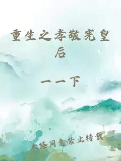 重生之孝敬宪皇后