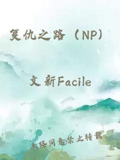 复仇之路（NP）