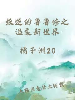 叛逆的鲁鲁修之温柔新世界