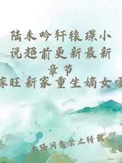 陆未吟轩辕璟小说超前更新最新章节