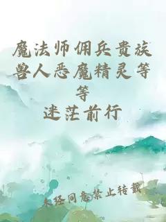 魔法师佣兵贵族兽人恶魔精灵等等
