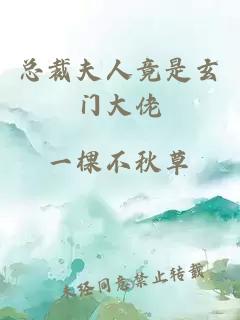 总裁夫人竟是玄门大佬