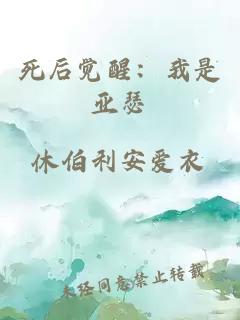 死后觉醒：我是亚瑟