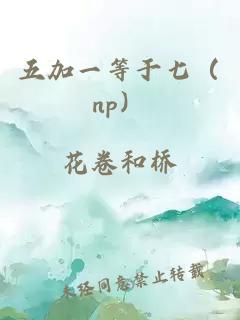 五加一等于七（np）