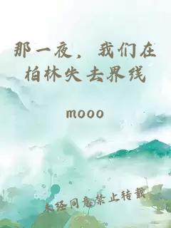 那一夜，我们在柏林失去界线