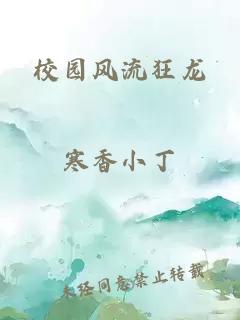 校园风流狂龙