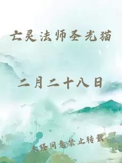 亡灵法师圣光猫
