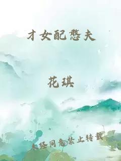 才女配憨夫