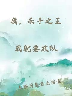 我，杀手之王