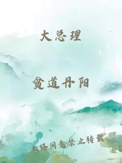 大总理