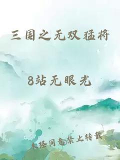 三国之无双猛将