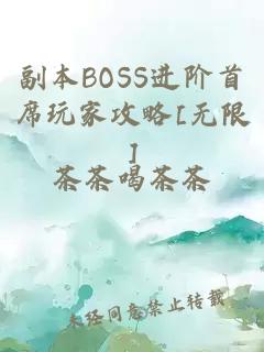 副本BOSS进阶首席玩家攻略[无限]